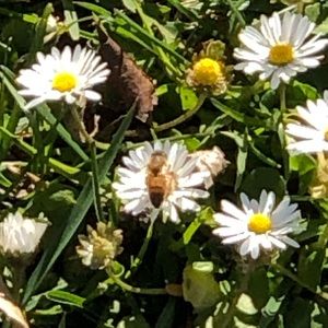 Meet your Posher, Karina